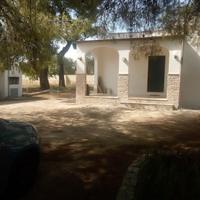 Villa con giardino recentemente ristrutturata