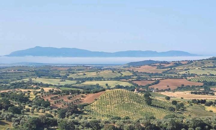 Appartamento panoramico bilocale Montiano