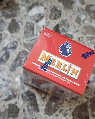 Topps merlin value box