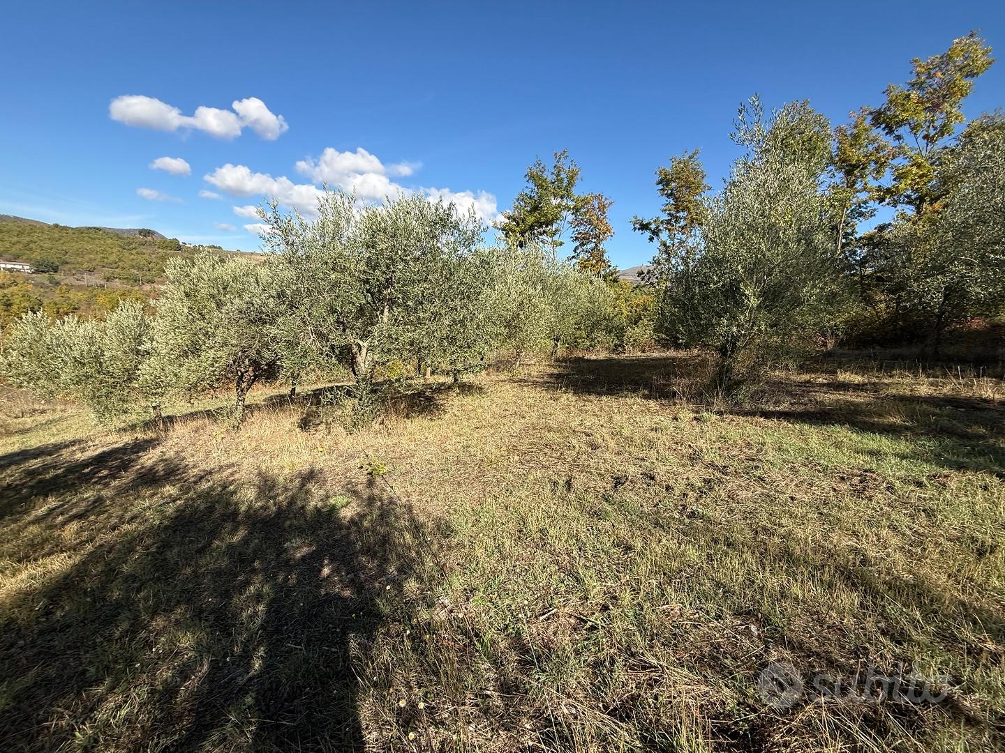 Terreno agricolo - Vista 6