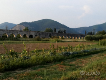 Terreno agricolo