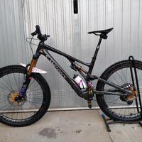 stumpjumper evo s-works 