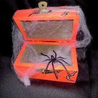 Cofanetto ragni 🕷️🕸️