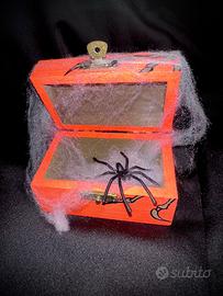 Cofanetto ragni 🕷️🕸️