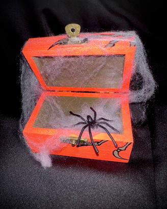 Cofanetto ragni 🕷️🕸️