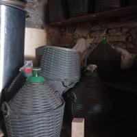 Damigliane misure varie