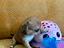 Immagine 4