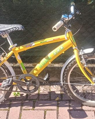 Bicicletta bambino 