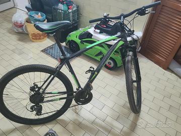 bicicletta