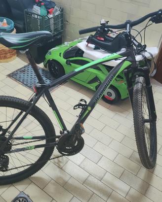 bicicletta