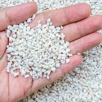 perlite, sacchetto da 3 litri