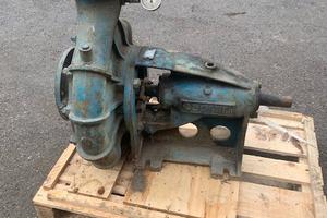 Pompa Caprari tipo MEC A/4 125