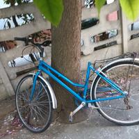 bici da donna 