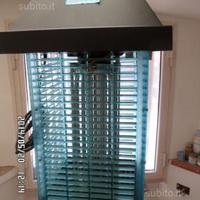 Fulminainsetti professionale