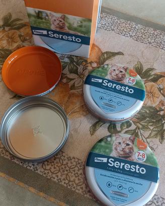 latta 15 cm diametro x 4 cm contenitore