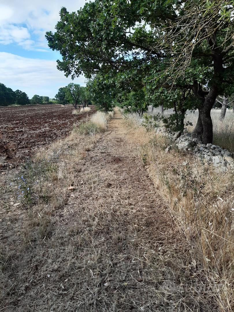 Terreno di 1600mq a 2 km dal paese - Vista 2