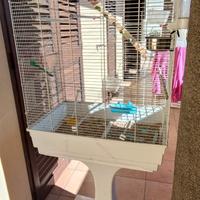 gabbia per pappagalli