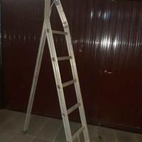 scala agricola per potatura. 