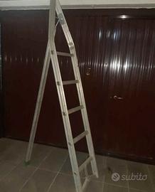 scala agricola per potatura. 