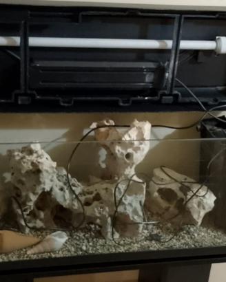 Acquario con mobile+Decorazioni (Rocce etc.)