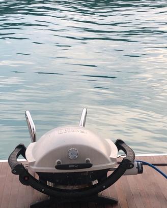 Barbeque Weber Q100