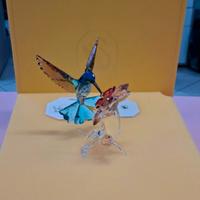 Swarovski 5728071 Colibrì ZYQ 200080