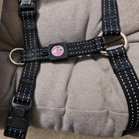 pettorina/corpetto ad H, colore nero, nuovo 