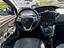 Immagine 12