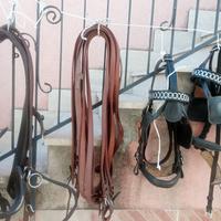 Set accessori per cavallo, buonissimo stato