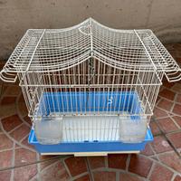 gabbietta per uccelli