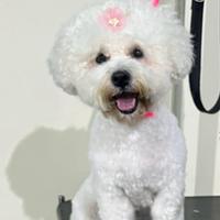 Fidanzatino per Celinè