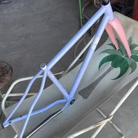telaio LEGOR acciaio custom con forcella carbonio