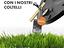 Immagine 6