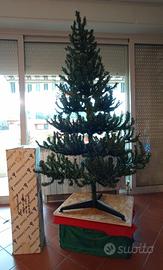 ALBERO di NATALE