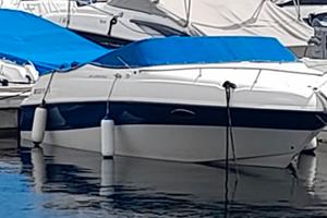 Motoscafo Four winns 205 sundowen