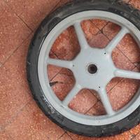 cerchio posteriore liberty 50