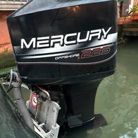 Mercury 225 offshore 2 tempi