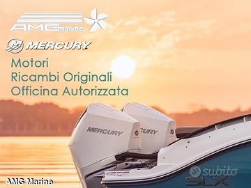 Mercury verado 250 hp v8 4.6cc