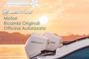 Mercury verado 250 hp v8 4.6cc