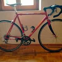 bici corsa wilier triestina