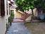 Immagine 23
