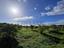 Immagine 26