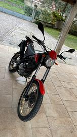 Beta Urban 200