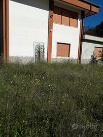 Villa singola 180mq più 1 ettaro di terreno