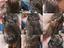 Immagine 6