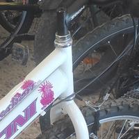 Bicicletta 24 Zoom