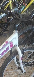 Bicicletta 24 Zoom