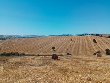 C.E.R.C.O terreno da coltivare
