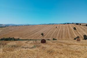 C.E.R.C.O terreno da coltivare