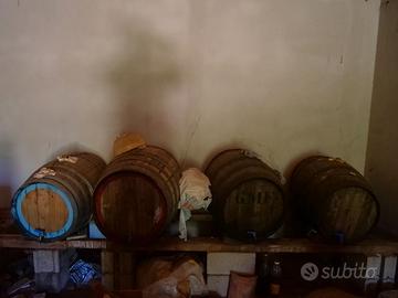 Attrezzatura per vino e Olio, lavatrice cucina a g